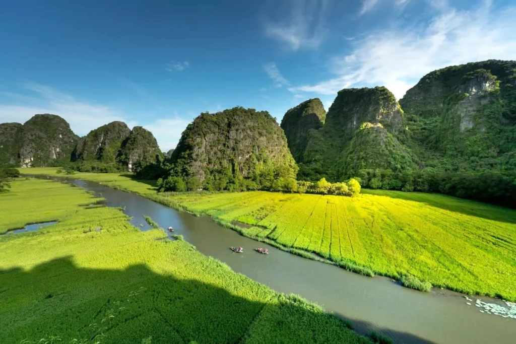 Cánh đồng lúa xanh bên sông Ngô Đồng, Tam Cốc