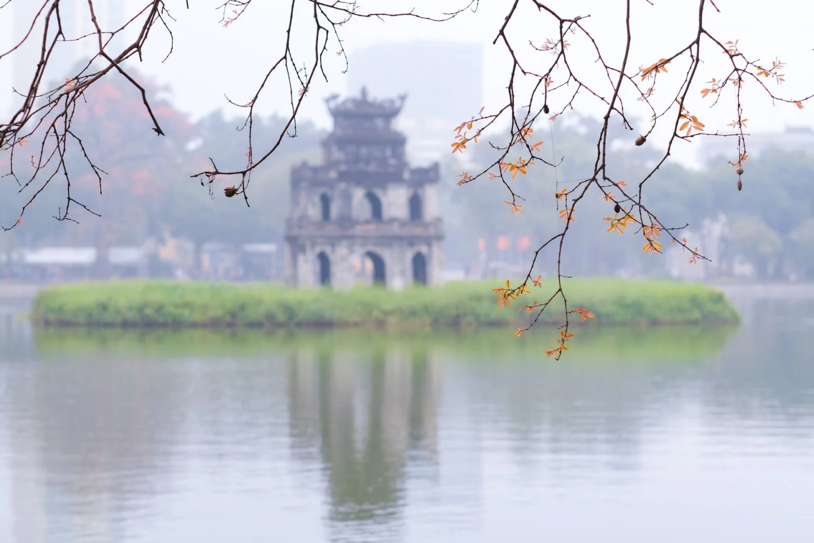 Tháp Rùa giữa hồ Hoàn Kiếm trong sương sớm, cành cây lá đỏ rủ phía trước